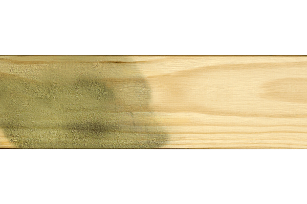 Mold on treated lumber